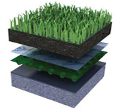 Green Roofing Systems