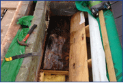GRP roof